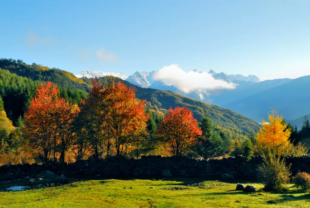 硗碛藏寨·神木垒景区图片