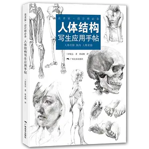 人体写生 Amazon.co.jp: 英国艺术院校美术专业绘画课程教材——人体解剖与 ...