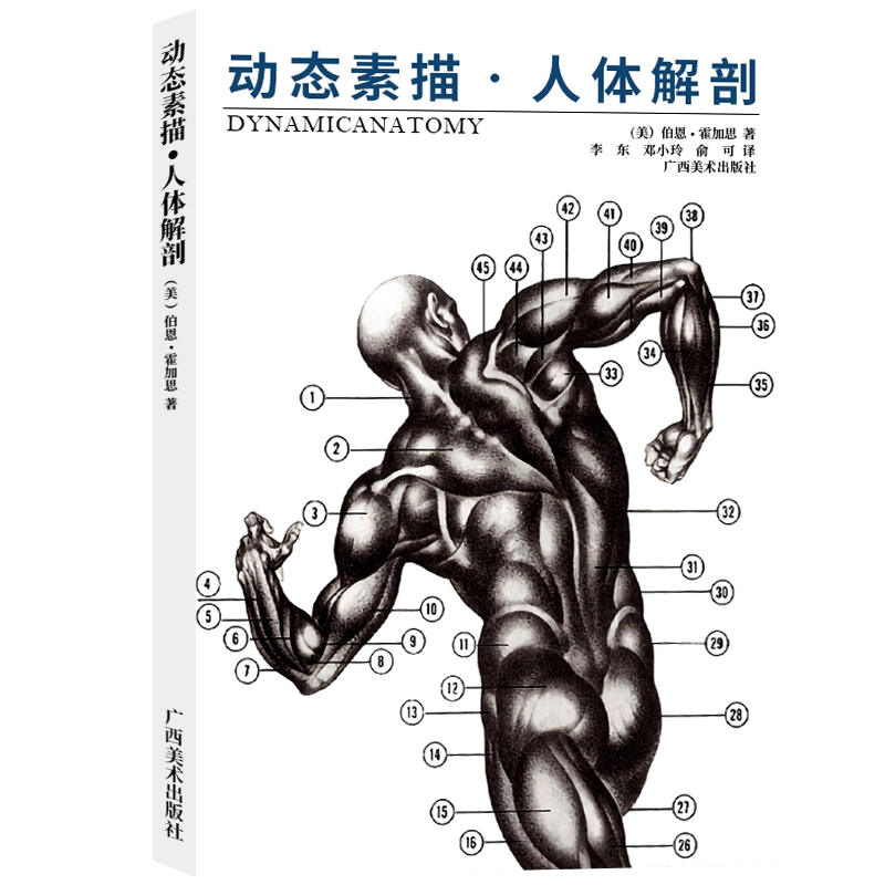 动态素描手部结构手部造型手绘技法艺用全集实用人体素描速写人物