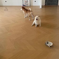 600×1200 Earl of Louis Internet Celebrity Fish Bone Wood Grain Brick Cream Log Medieval Retro American All-Ceramic Floor Tiles