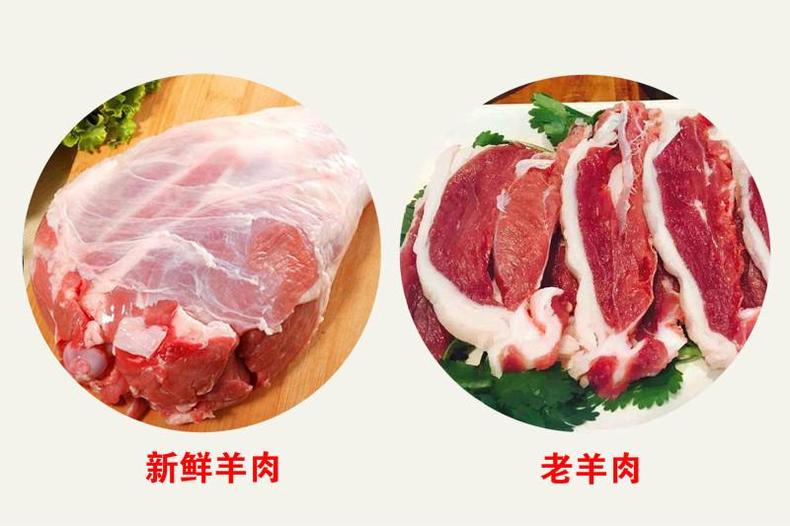 热门滋补美食,驱寒补气吃羊肉(图12) 热门滋补美食,驱寒补气吃羊肉(图12)