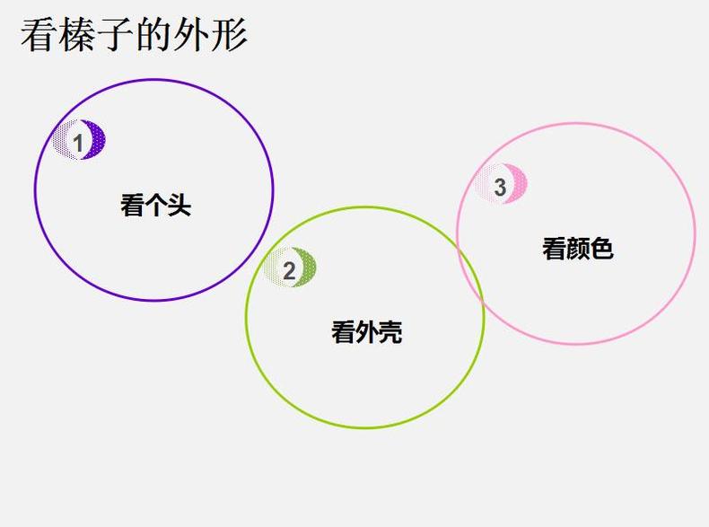 挑选营养榛子，果肉颗颗饱满(图7)