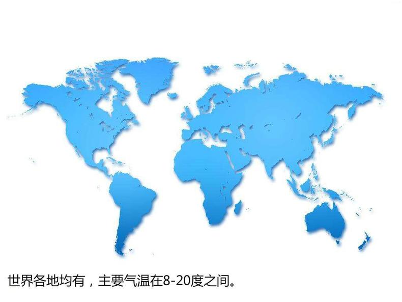 猴头菇挑得好，名品滋补又养胃！(图4)