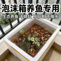 Foam Box for Fish Farming, Traditional Ecological Fish Tank, No Jumping Out of the Tank, No Oxygenation, No Water Changes, Indoor Thickened Fish Farming Supplies
