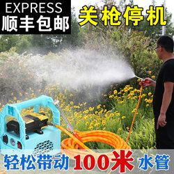 Electric Dual-Pump Portable Sprayer, Orchard Sprayer, Mist Sprayer, Car Wash Machine, Water Pump, High-Pressure Diaphragm Pump