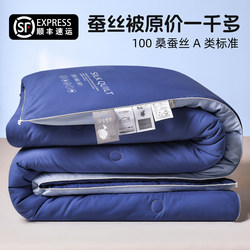 Silk Quilt 100% Mulberry Silk Spring and Autumn Quilt Genuine Summer Cooling Quilt Air Conditioning Quilt Student Quilt Quilt Core Thickened Cotton Winter Quilt