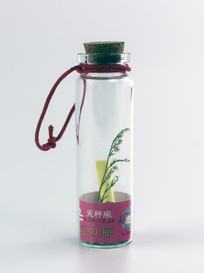 ゾディアックウィッシュボトル - 12個のガラスバイアルセット