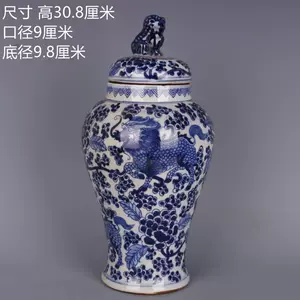 中国 青花 獅子花卉文瓶 壷 V R6208F