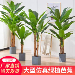 Scandinavian Large-Scale Simulated Green Plant Banana Fake Green Plant Simulated Indoor Living Room Loose-Tailed Sunflower Decoration Outdoor Banana Fake Tree