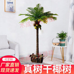 Simulated Coconut Tree, Artificial Tree for Indoor and Outdoor Use, Hotel and Shopping Mall Decoration, Real Tree Trunk, Coconut Tree, Palm Tree, Floor-Standing Plant