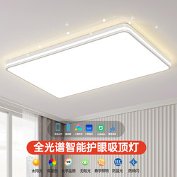 Full-Spectrum Living Room Lamp Led Ceiling Light Modern Minimalist Elegant Hall Lamp Smart Eye-Protection New Bedroom Lighting Fixtures