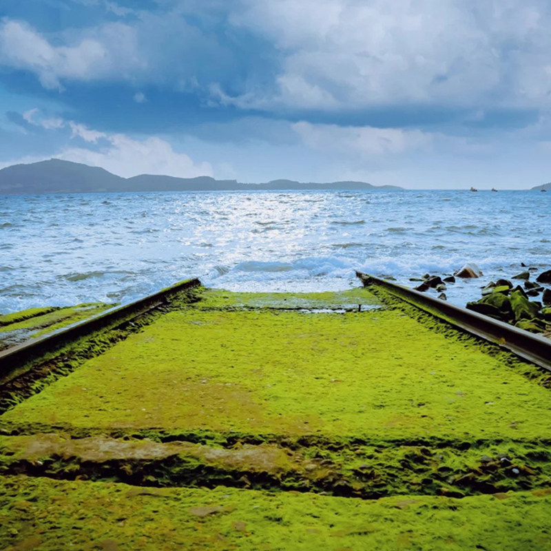 烟台养马岛果冻海+渔人码头+东炮台+烟台山+朝阳街,打卡入海铁轨