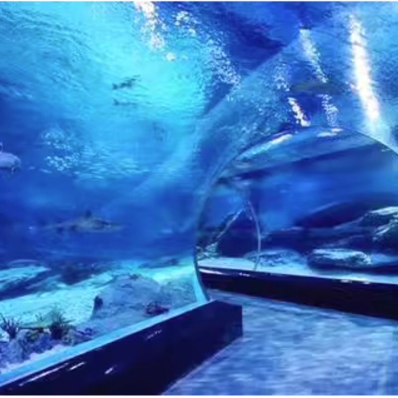 山东烟台蓬莱阁+海洋极地世界一日游【仙境蓬莱·海洋生物世界】