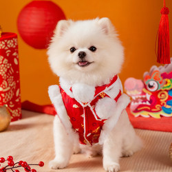 Dog Clothes New Year Festive Tang Suit Thickened Warm Autumn and Winter Vest for Puppies and Kittens Pet Dog Tang Suit