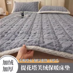 A-Grade Taffeta Mattress, Warm Milk Velvet Jacquard Mattress, Mattress Pad, Bed Protector, Mattress Cover, Soft Cushion, Blanket