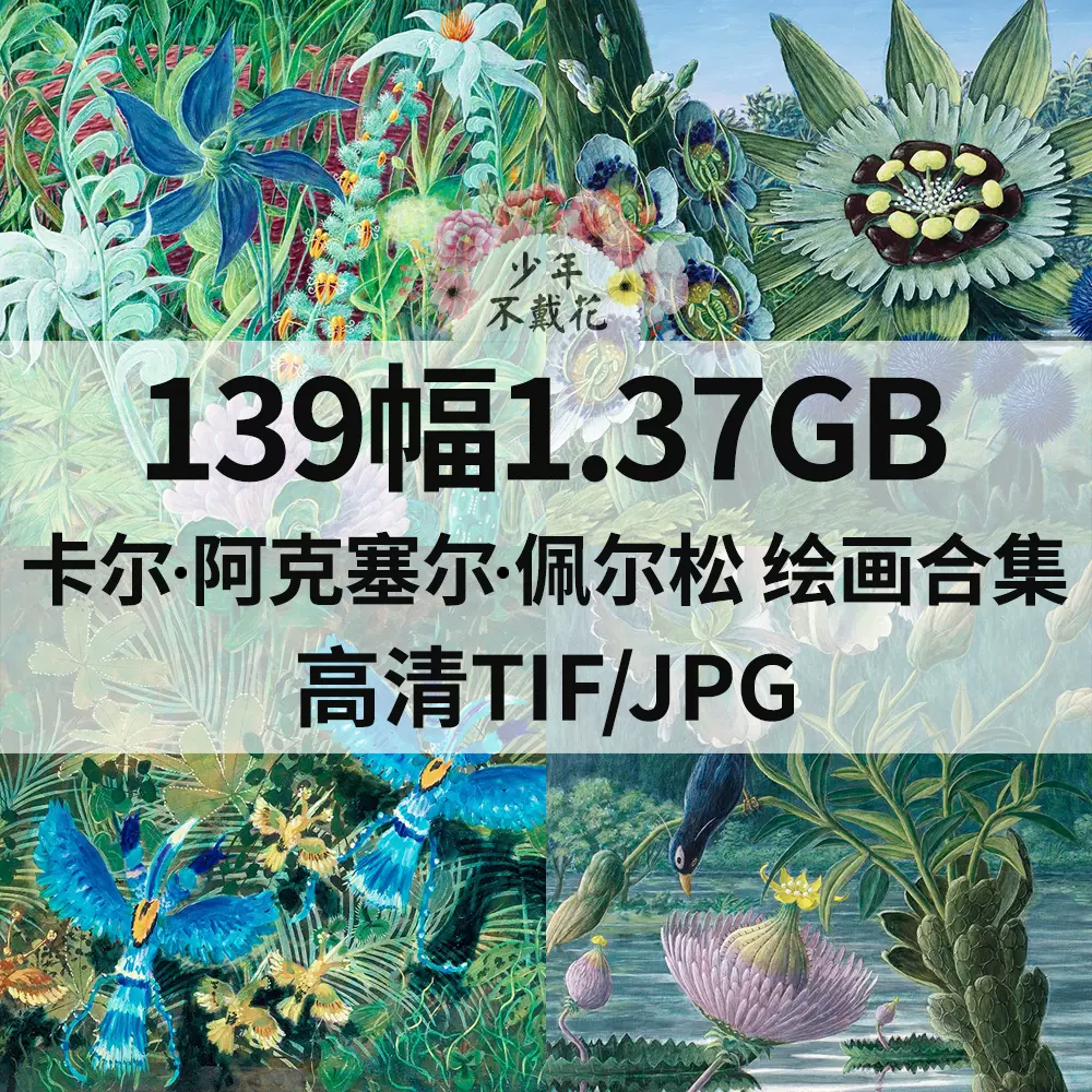 535幅14.8G喜多川歌麿绘画合集浮世绘高清电子版人物风景静物素材-Taobao