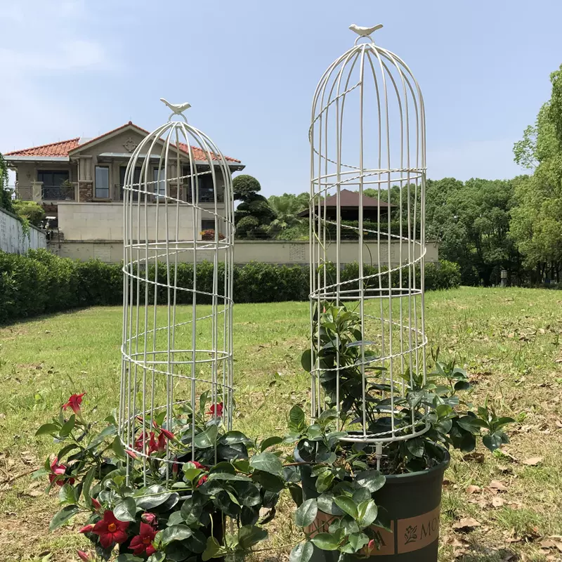园艺玫瑰月季花柱架铁线莲爬藤架子植物攀爬花盆支架杆小鸟笼铁艺 Taobao