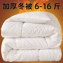 Feather Velvet Quilt, Winter Quilt, Thickened Warm Space Quilt Core, Silk Cotton Quilt, Winter Single Dormitory Double Student Quilt