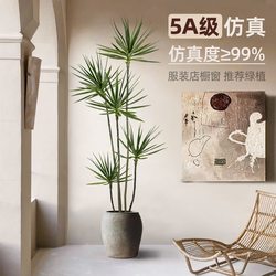 Artificial Green Plant Dracaena Large Indoor Philodendron High-End Light Luxury Floor-Standing Ins-Style Simulated Plant Fake Tree