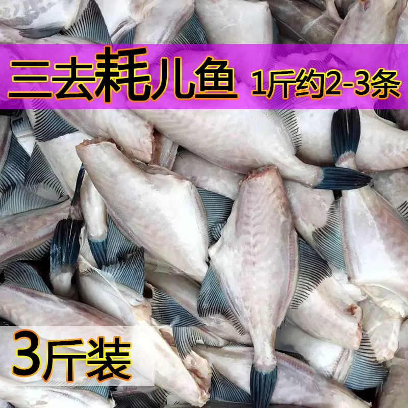 3斤裝大號耗兒魚馬面魚橡皮魚火鍋食材扒皮狼