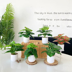 Artificial Green Plants, Artificial Bonsai, Small Potted Plants for Office Desks, Monstera Potted Plants, Living Room Decoration, Fake Flowers, Green Radish, Home Decorations