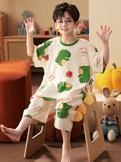Franela Para Niño Y Niña Motivo Dinosaurios Tiranosaurus