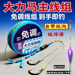 Ready-Made Double Hook Rig with Strong Braided Line, Anti-Bite Sinking Line for Big Fish, Hand-Tied Line