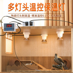 Rutin Chicken Insulation Lamp Intelligent Control Box Warmer