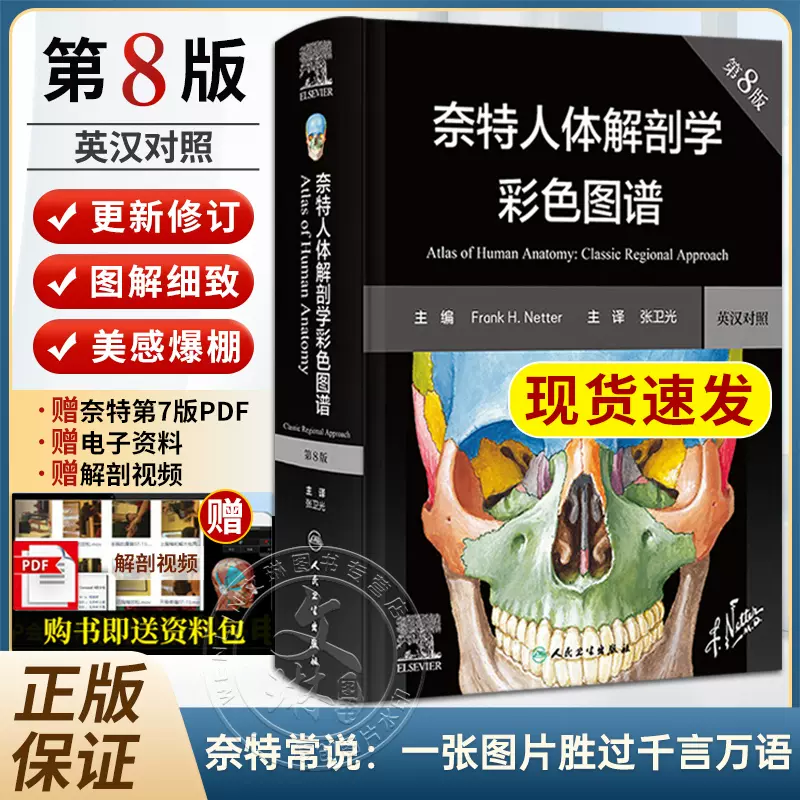 新版现货奈特人体解剖学彩色图谱第八版8版彩色局部七版7版升级电子版中