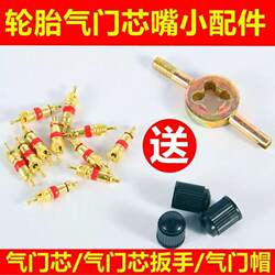 Tire Valve Core Wrench Valve Key Valve Needle Car Motorcycle Electric Bicycle Valve Cap