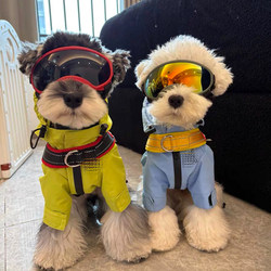 Dog Clothes Waterproof Shock Clothes Schnauzer Bichin Teddy Shiba Inu West Highland Pet Clothes Rain Coat