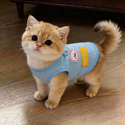 Spring and Summer Pet Cat Clothes, Thin Vest, Suitable for Outdoor Use, Can Be Used with a Leash, Ragdoll, Golden Retriever, Anti-Shedding, Breathable for Dogs