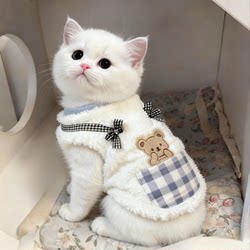 Cat Clothes, Autumn and Winter Warm Sweatshirts, Cute Teddy Bears, Ragdolls, British Shorthair Blue Kittens, Dogs, Super Cute Vests