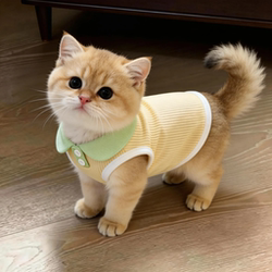 Cat Clothes Anti-Shedding Spring and Summer Thin Vest Golden Gradient Dog Dopamine Anti-Dirt Lapel Polo Shirt