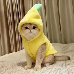 Cat Clothes for Autumn and Winter, Fleece-Lined and Thickened, Cute Banana Outfit, Warm Ragdoll, Golden Tabby Kitten Pet Dog Vest