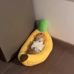 Banana Boat Cat Bed, Warm Sleeping Bed for Winter, Detachable and Washable Pet Mat for Small Dogs and Cats, Providing a Sense of Security