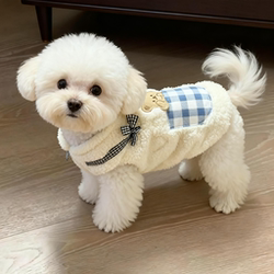 Dog Clothes Autumn and Winter Cute Pocket Bear Sweatshirt Pet Small and Medium-Sized Dogs and Cats Teddy Bichon Spring and Autumn Style