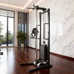 Single-Sided Gantry Home Gym Comprehensive Pull-Down Rowing Machine Smith Machine Back Training Equipment Commercial Bird Fly Trainer