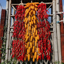 Simulated Vegetable Skewers, Fake Corn, Peppers, Garlic, Farmhouse Restaurant Courtyard Decoration, Crop Model Pendants