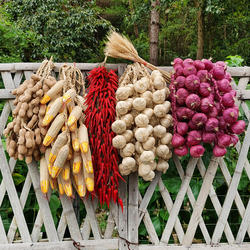 Farmhouse Hot Pot Restaurant Retro Artificial Vegetable Skewers Fake Garlic Corn Pepper Crop Model Hanging Decoration Set