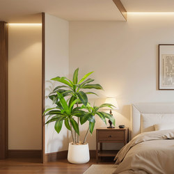 Simulated Green Plants Brazilian Wood Interior Decoration Fake Plant Ornaments Dining Table Living Room Balcony Corner Landscaping Artificial