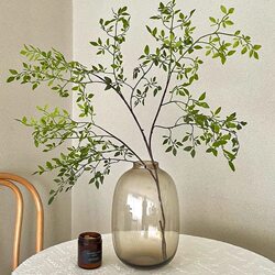 High-End Large Glass Vase for Hydroponics, Specifically for Hanging Bellflower and Horsewood Green Plants, Suitable for Living Room Floral Decoration