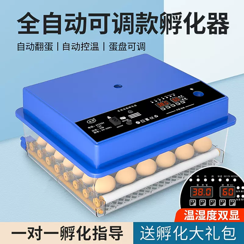 全自動孵化器小型家用型小雞孵化機智能蘆丁雞孵化箱鵪鶉孵蛋器-Taobao