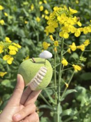 Four Little Things Shop Apple Ornament, Apple Decoration, Incense Holder, Aroma Diffuser Stone, Decorative Ornament, Desktop Ornament