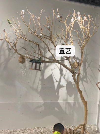 上海智怡 - 自然の木の枝、家庭用装飾
