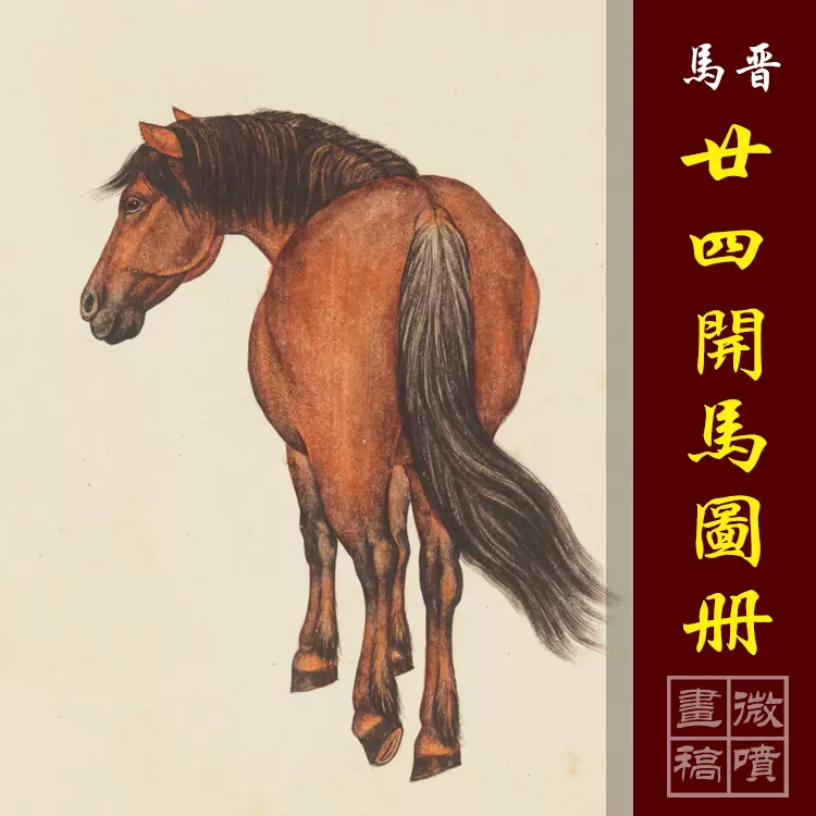 马晋工笔马册页八骏图郎世宁马画稿高清微喷丝绢