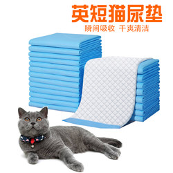 Diapers and diaper pads for British shorthair cats