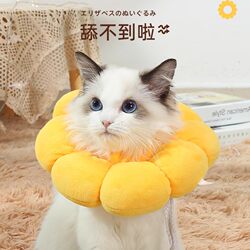 Hachimi Elizabeth Collar Cat Recovery Collar Anti-Licking British Shorthair Cat Neck Collar Head Collar Dog Pet Supplies