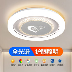 New Led Bedroom Ceiling Light, Simple Modern Master Bedroom Light, Popular Internet Sensation Room Light, Zhongshan Lighting Fixtures Collection