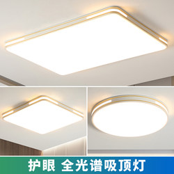 Living Room Lamp Led Ceiling Lamp Modern Simple and Elegant Large Lamp 2026 New Model New Chinese Style Lighting Whole House Package